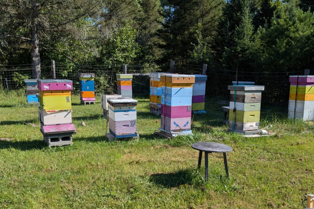 hives